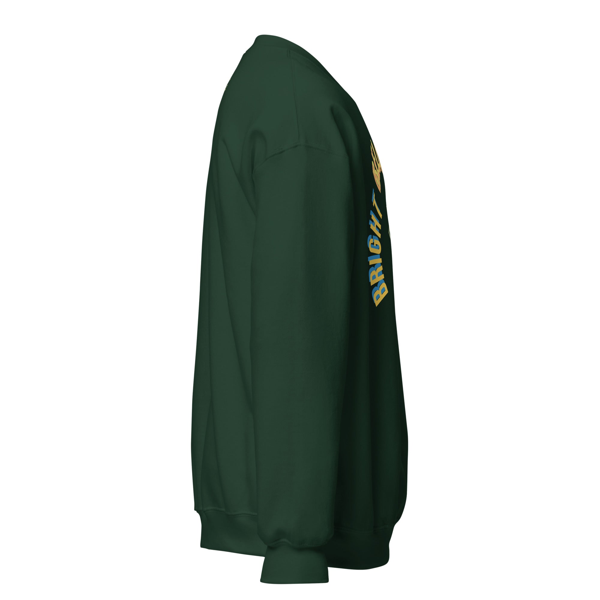 BelieveBrightBloom Unisex Sweatshirt - Alivwood