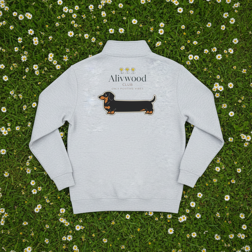 SausageDog Lane Seven LS14014 Premium 1/4 Zip Sweatshirt - Alivwood