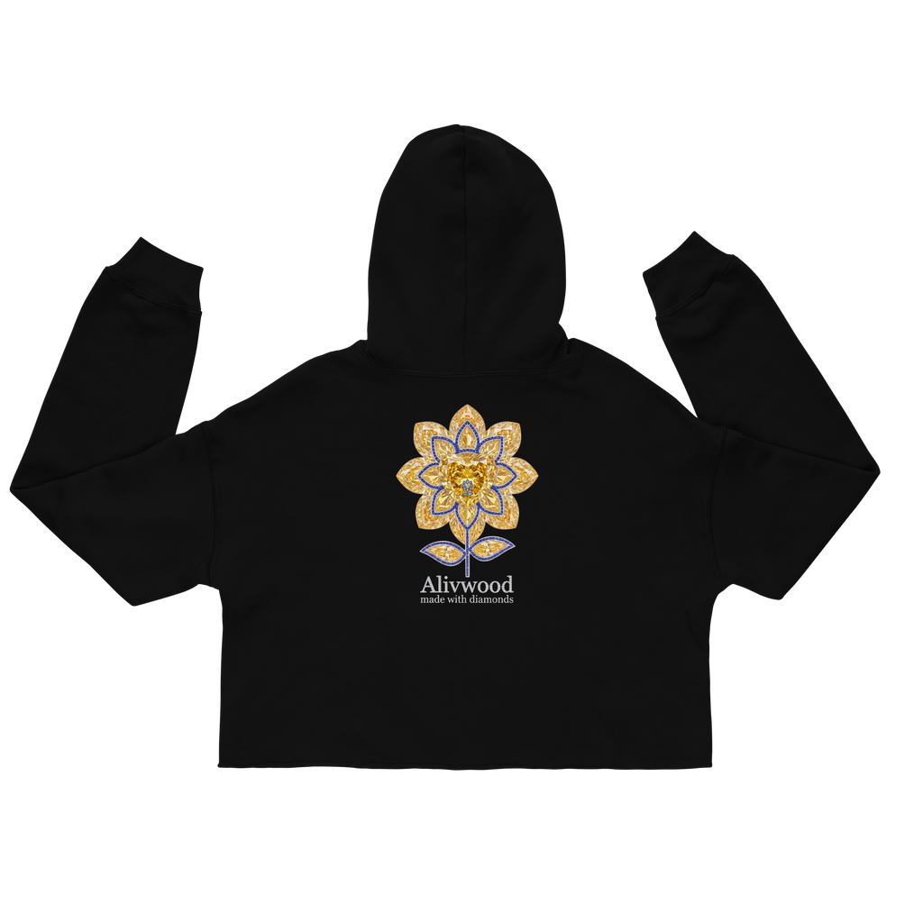 Alivwood Embroidery Crop Hoodie - Alivwood
