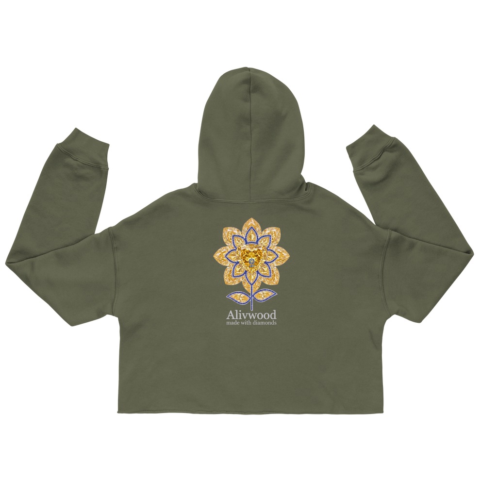 Alivwood Embroidery Crop Hoodie - Alivwood