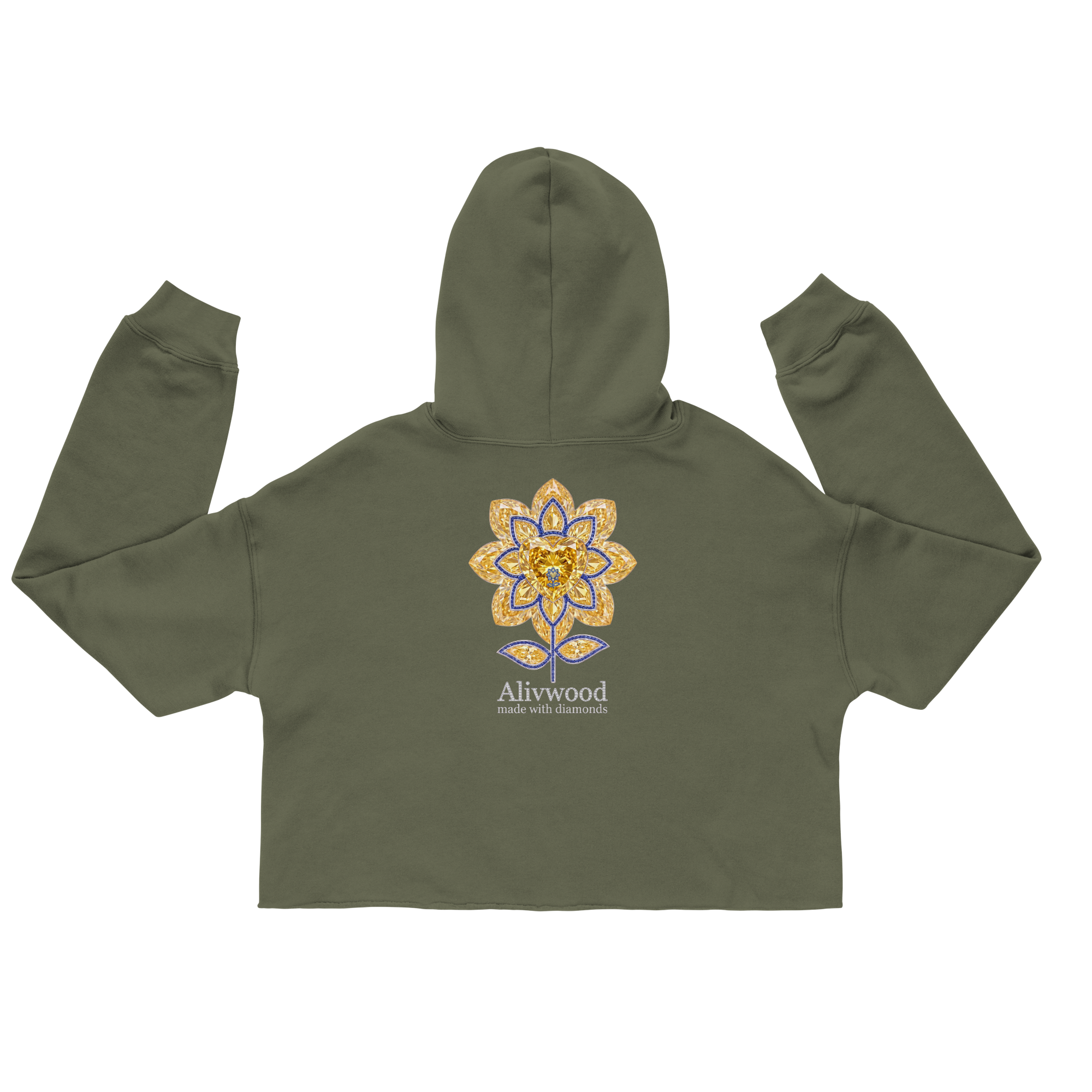 Alivwood Embroidery Crop Hoodie - Alivwood