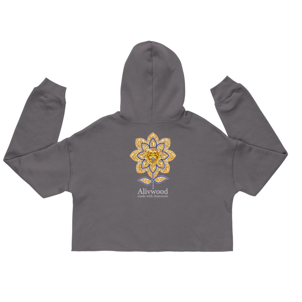 Alivwood Embroidery Crop Hoodie - Alivwood