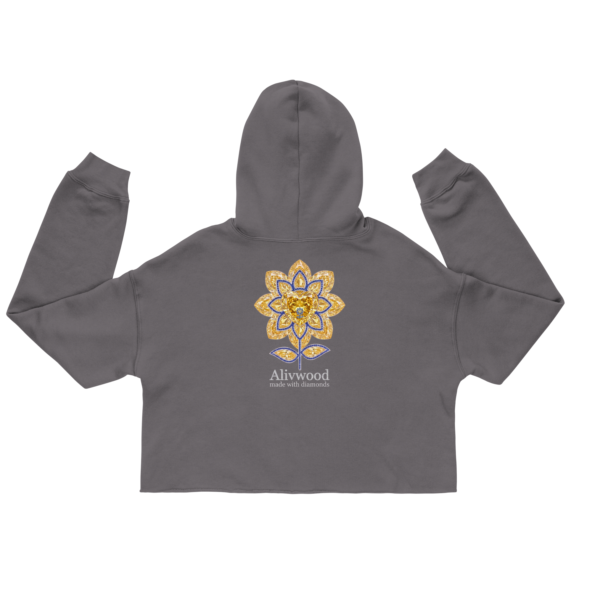 Alivwood Embroidery Crop Hoodie - Alivwood
