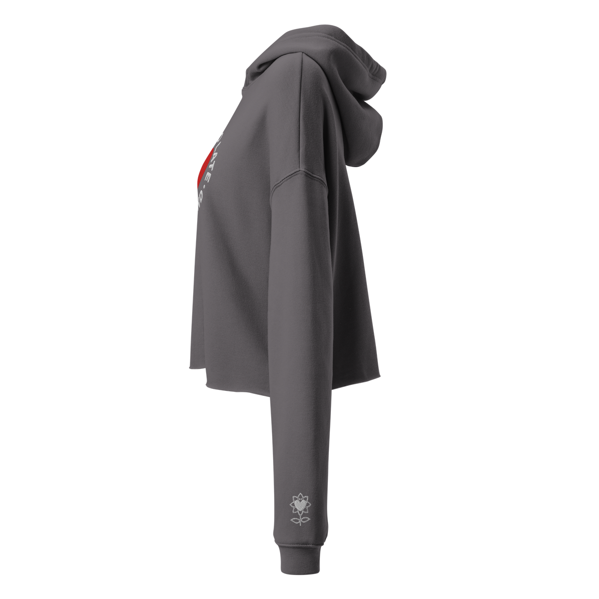 Never too late Embroidery Crop Hoodie - Alivwood